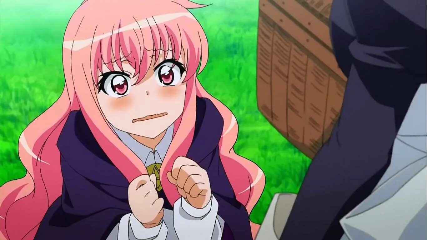 Сиеста подручный луизы. Подручный луизы нулизы 1 сезон. Подручный помощник. Подручный помощник. Подручный луизы-нулизы аниме.