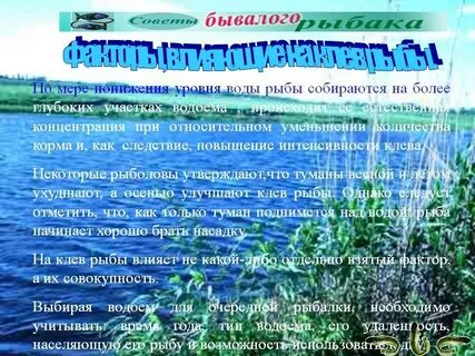 Рыбный фактор