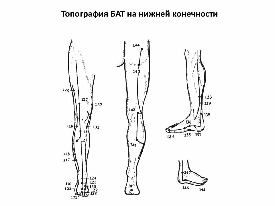 Области нижней конечности. Топография нижней конечности. Топограмма нижних конечностей. Тоеография нижней конечностей. Топография нижней конечности анатомия.