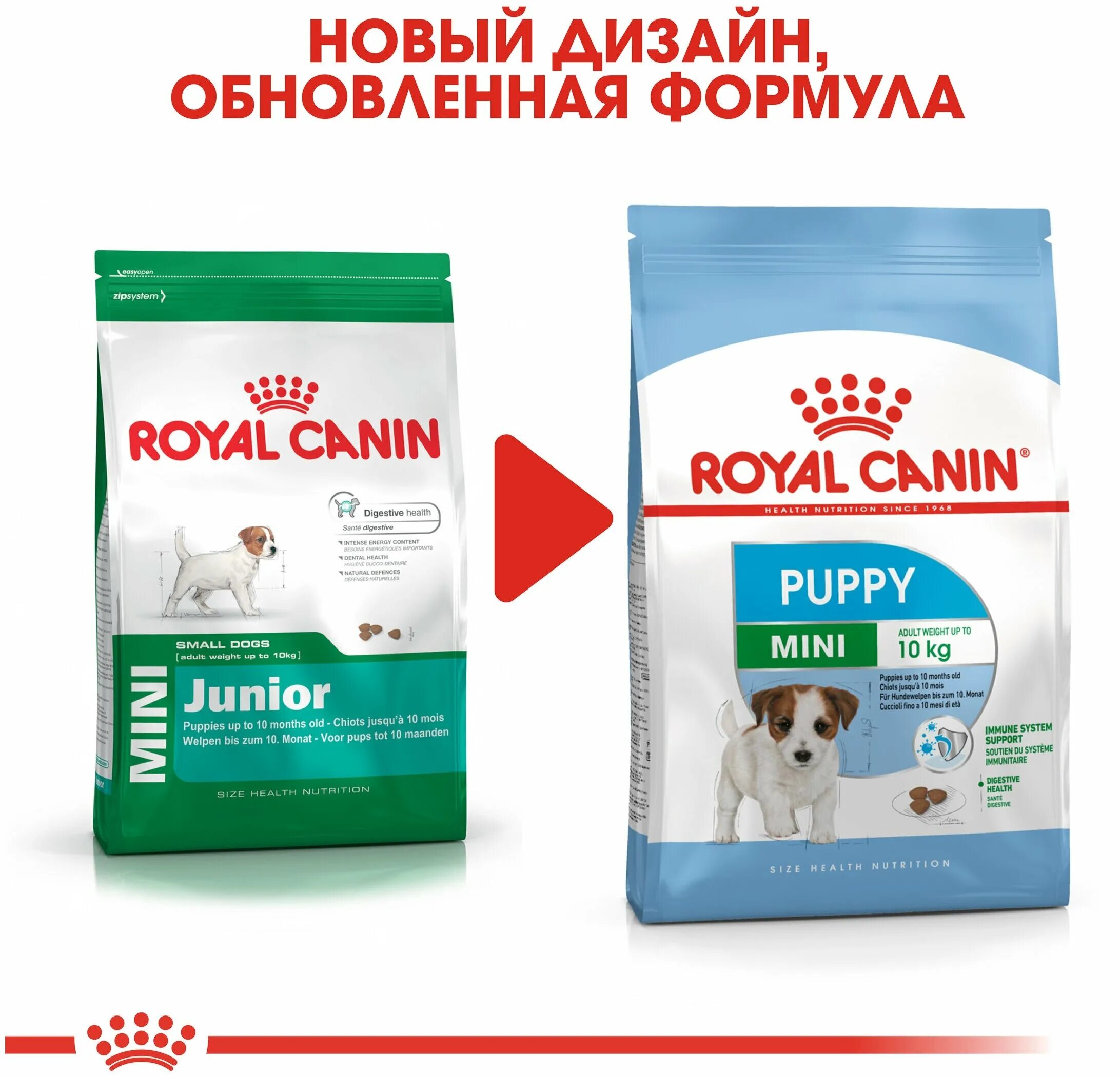 Корм royal canin для мелких собак. Роял Канин мини Эдалт 8+ для собак. Корм для мелких пород собак мини Роял Канин. Роял Канин для собак Mini Adult. Корм Роял Канин мини Паппи.