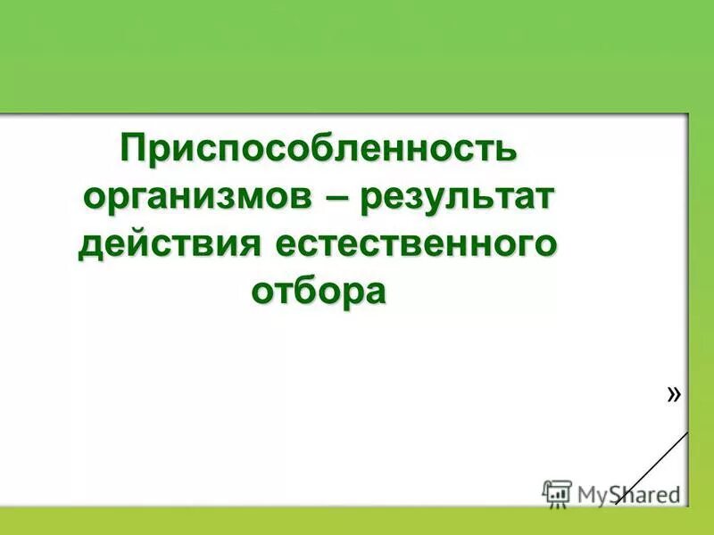 Результаты действия естественного отбора. Результат действия естественного. Приспособленность организмов как результат естественного отбора. Приспособленность человека умелого.