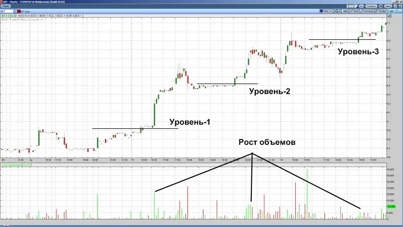 факультет фондовый рынок