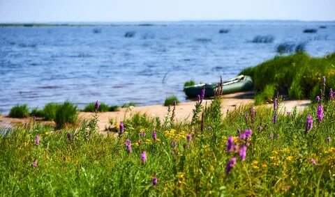 Великий новгород море