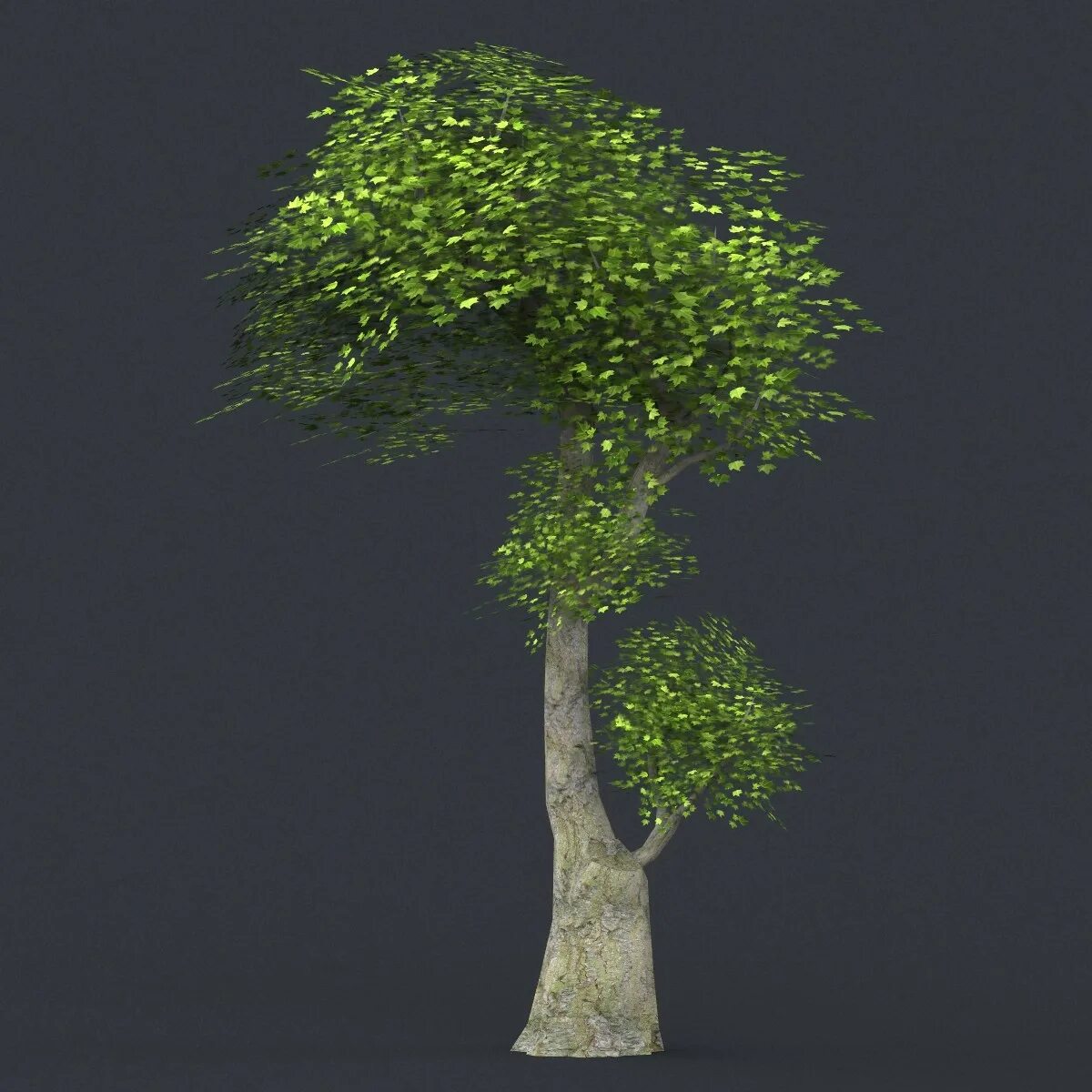 Low tree. 3d low poly tree. стилизованное дерево 3д. 3д модели деревьев простые. 3d деревья минимализм.