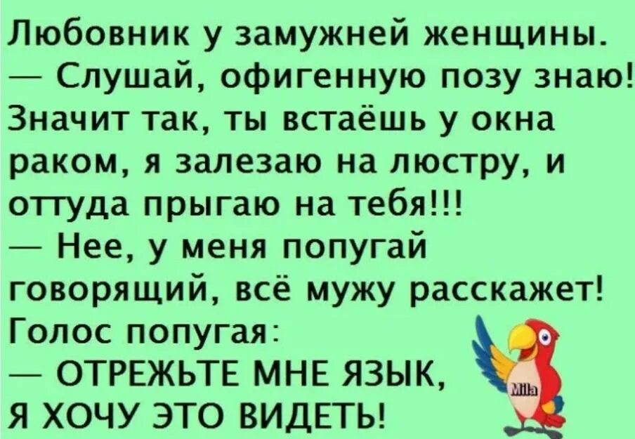 Анекдот про попугая. Анекдот про попугая я должен это видеть. Анекдоты про попугая смешные. Анекдоты с попугаем. К маме пришел любовник