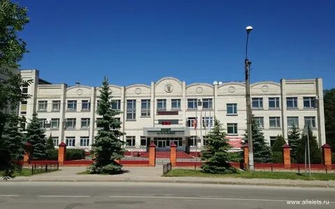 Институты г елец