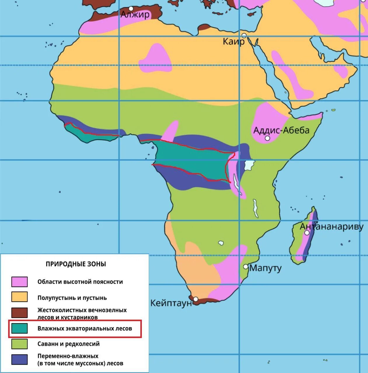 Какую площадь занимают экваториальные леса. Африка климат природные зоны карта. Природные зоны Африки контурная карта. Климатическая карта Африки природные зоны. Влажные экваториальные леса Африки на карте.