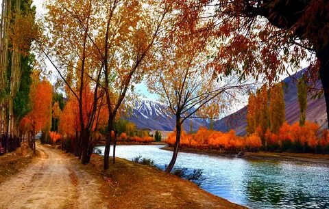Красота осеннего пейзажа