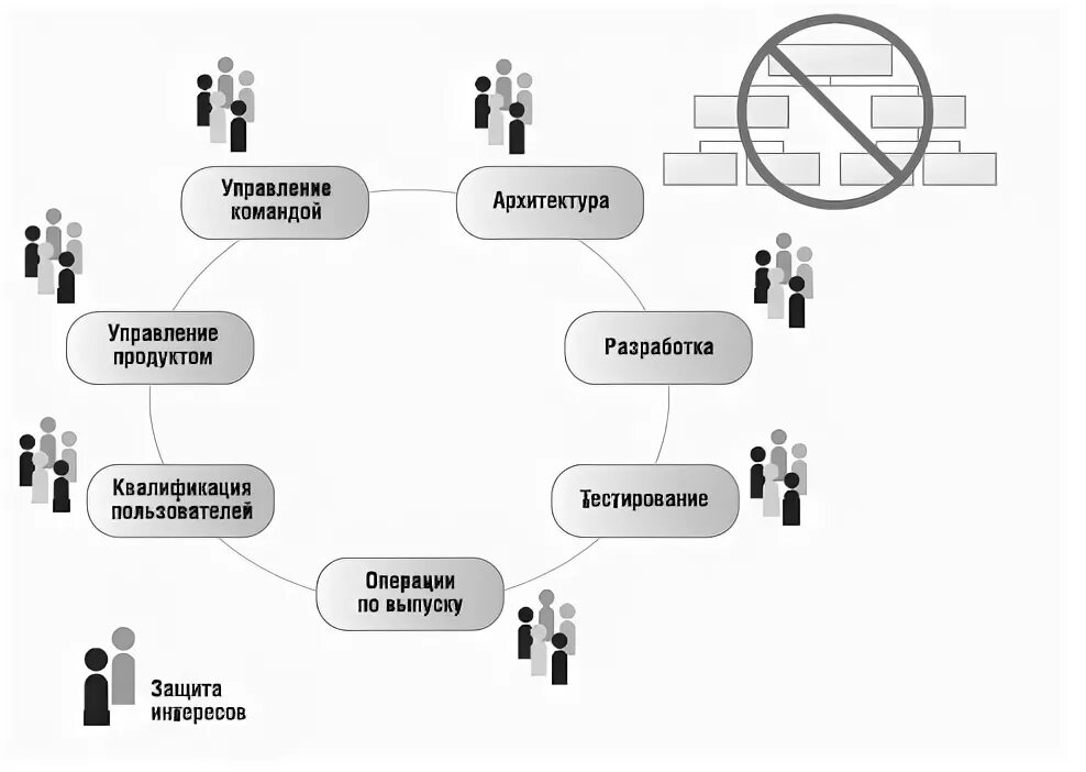 Группа равных команд. Модель команды MSF. Команда проекта схема. Модели структура команды. Разработать модель команды.