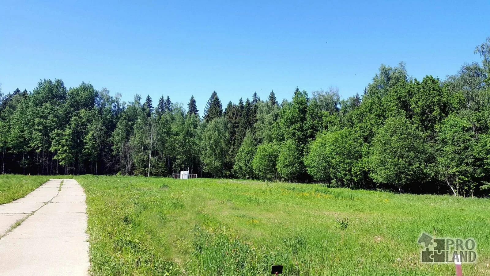 Лесной участок. Участок земли в лесу. Земельный участок в лесу. Земельный участок с лесом. Коттеджный поселок приозерный брянск.