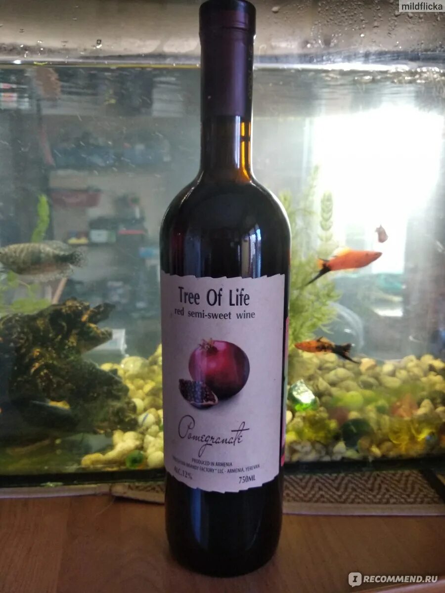 Tree of life гранатовое. Tree of life вино гранатовое. arcruni pomegranate вино прошянский коньячный завод. армянское вино дерево жизни. дерево жизни гранат вино армения.