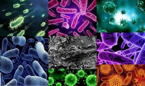 Наташа Селезнева жалаңаш