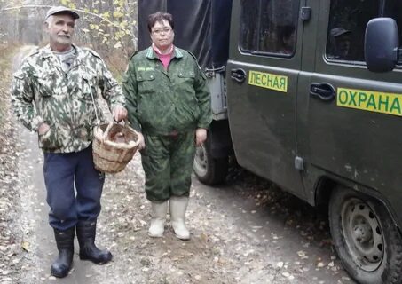 Лесник вывел нас на огромную поляну