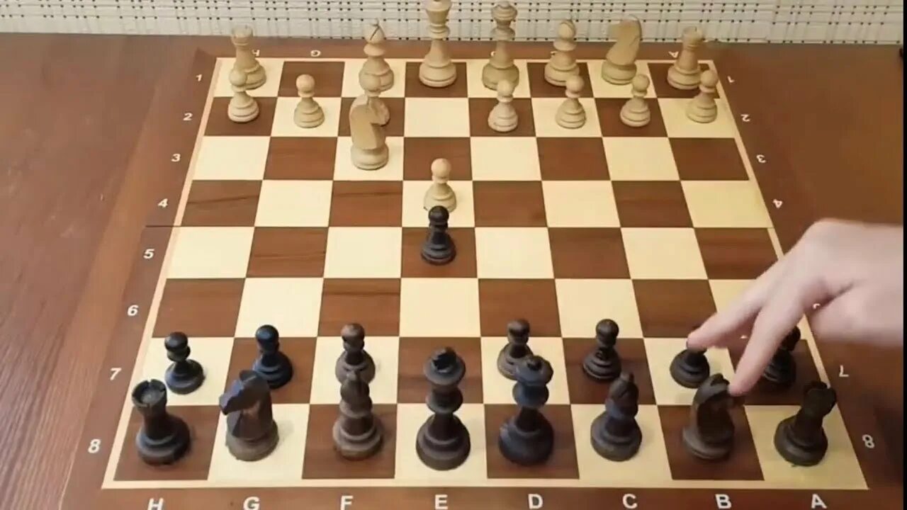 Как шахматист называют на горе. Как называется шахматист. Магнус карлсен шахматы. Крутые шахматы. Как называется шахматист.