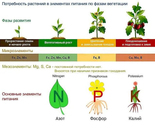 Какие удобрения по листу