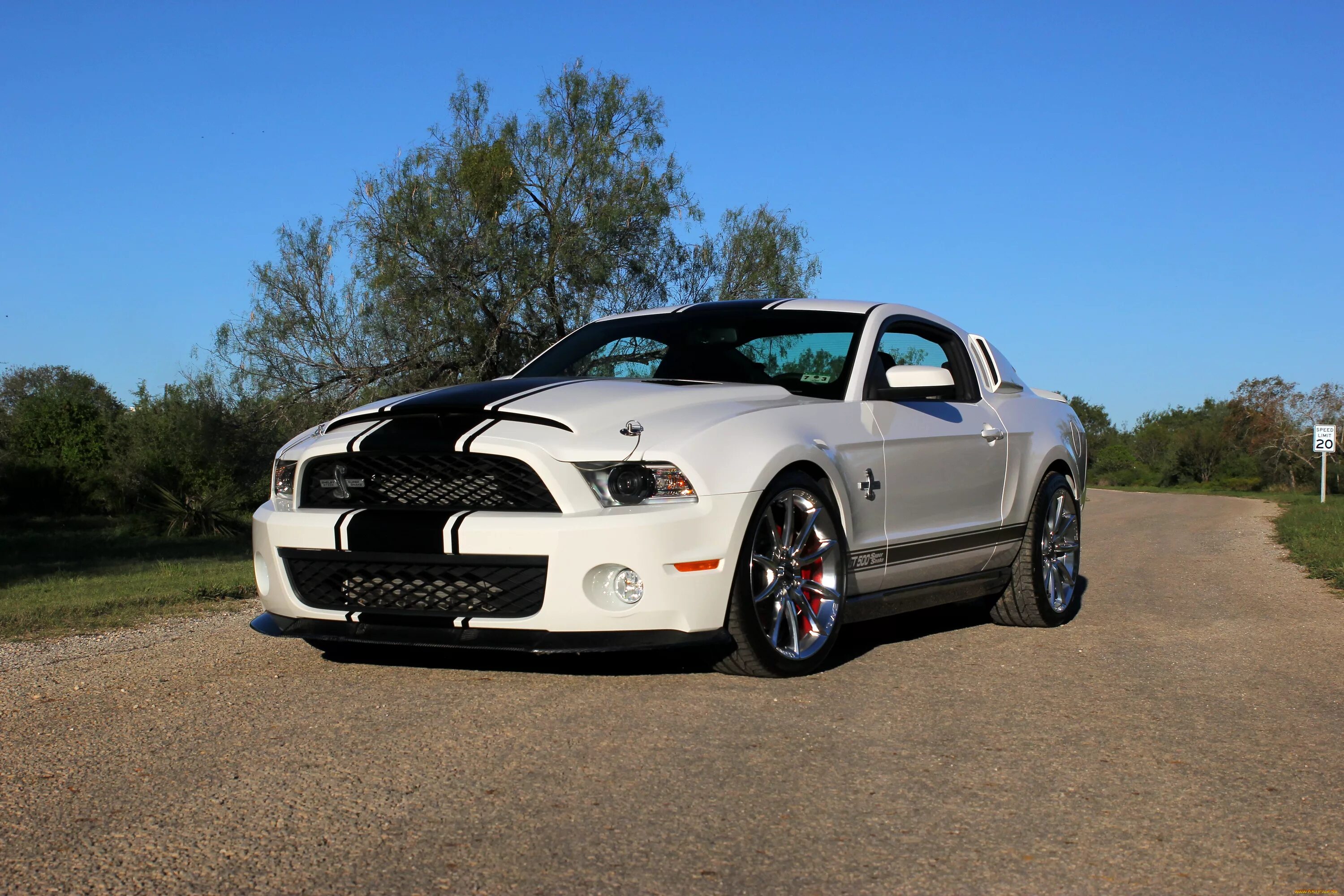 Mustang shelby gt. Форд Мустанг Шелби gt 500. Форд Мустанг Шелби gt 500 белый. Ford Mustang Shelby gt500 White.