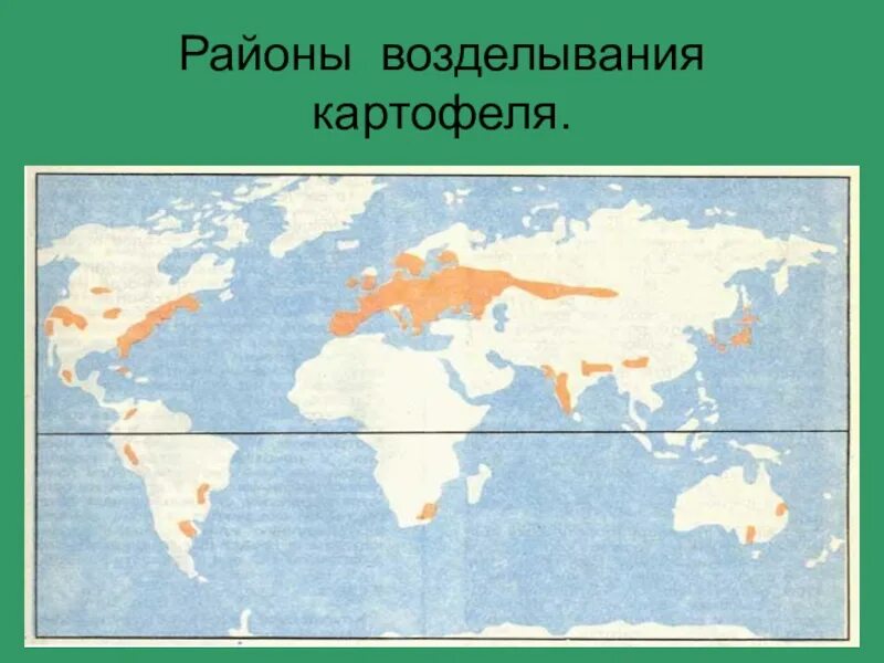 Районы выращивания на карте. Ареалы возделывания картофеля. Регионы возделывания картофеля. Районы возделывания картофеля в России. Районы распространения картофеля.