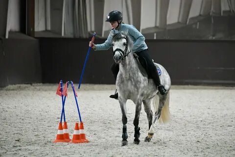 Школа конного спорта