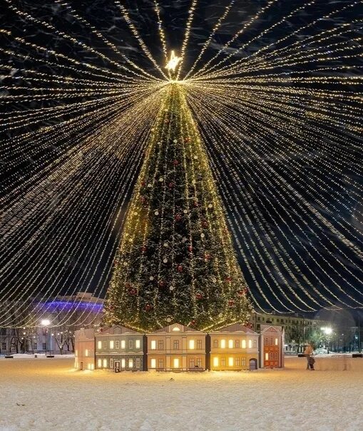 Новый год новгородская область. Новгородский парк в новый год Великий Новгород.