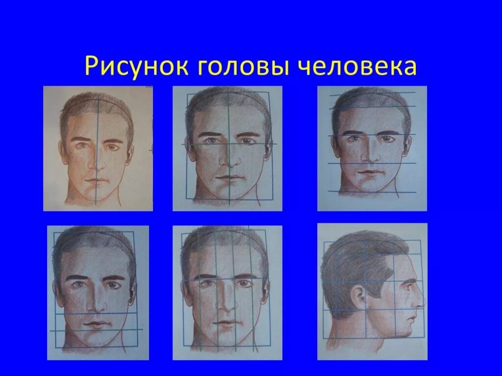 Образ человека в пространстве. Рисунок на тему конструкция головы. голова человека 7 класс. конструкция головы человека 7 класс. изображение головы человека изо 7 класс.