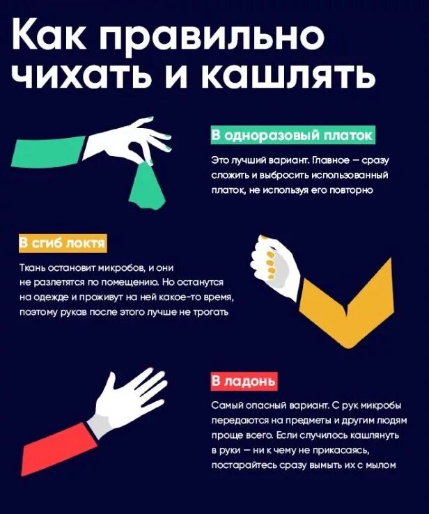 Как правильно чихать по этикету. Как правильно чихать и кашлять. памятка как правильно чихать. памятка как правильно чихать и кашлять. правила чихания.
