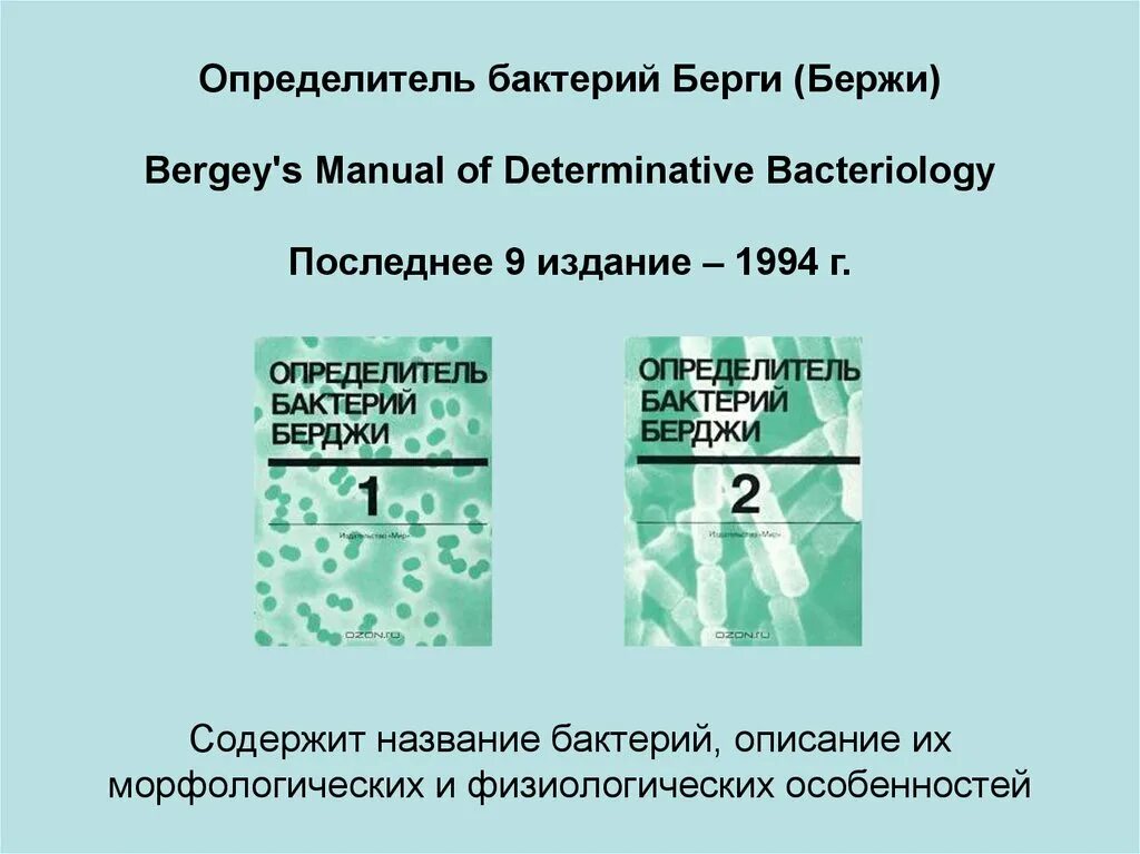 Бактерий берги. Берджи микробиология. Клебсиелла пневмония под микроскопом. Бактерий берги. Бактерии.