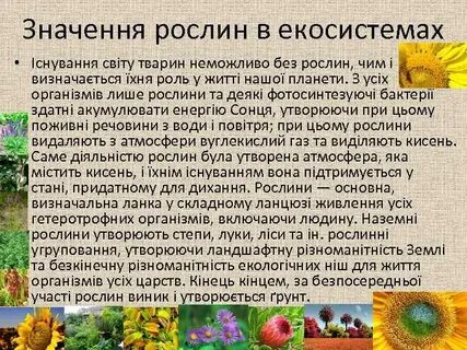 Значення