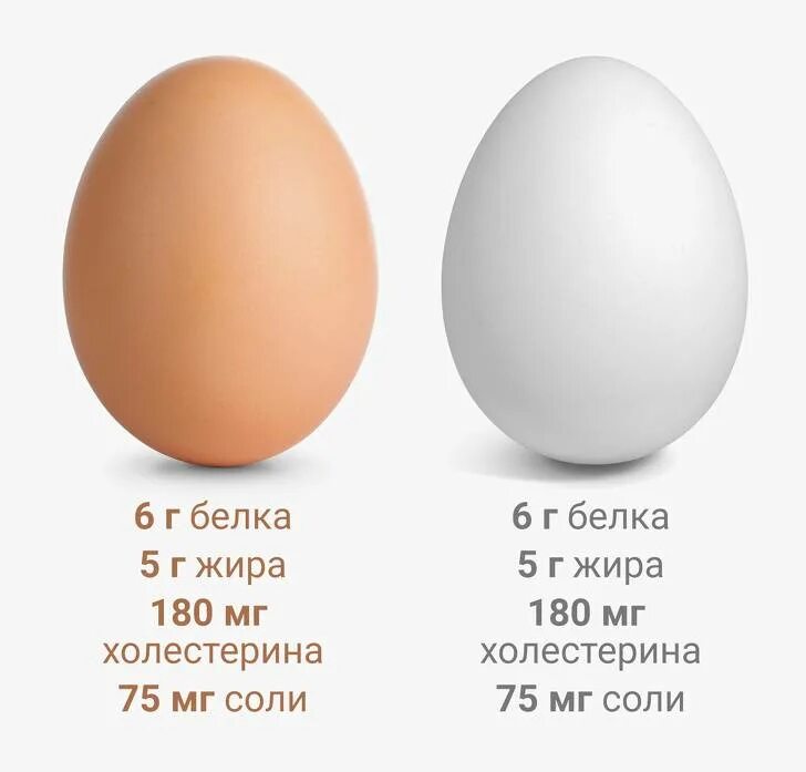 Сколько холестерина в яйце. Яйцо куриное. Холестерин в яйце курином. Коричневое яйцо. Марки яиц.