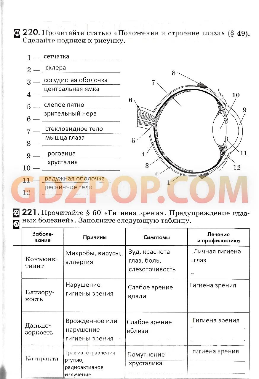 Гигиена зрения предупреждение глазных болезней 8 класс. Таблица предупреждение глазных болезней по биологии 8 класс. Таблица по биологии 8 класс Колесов. Таблица гигиена зрения 8 класс. Прочитайте статью положение и строение глаза.