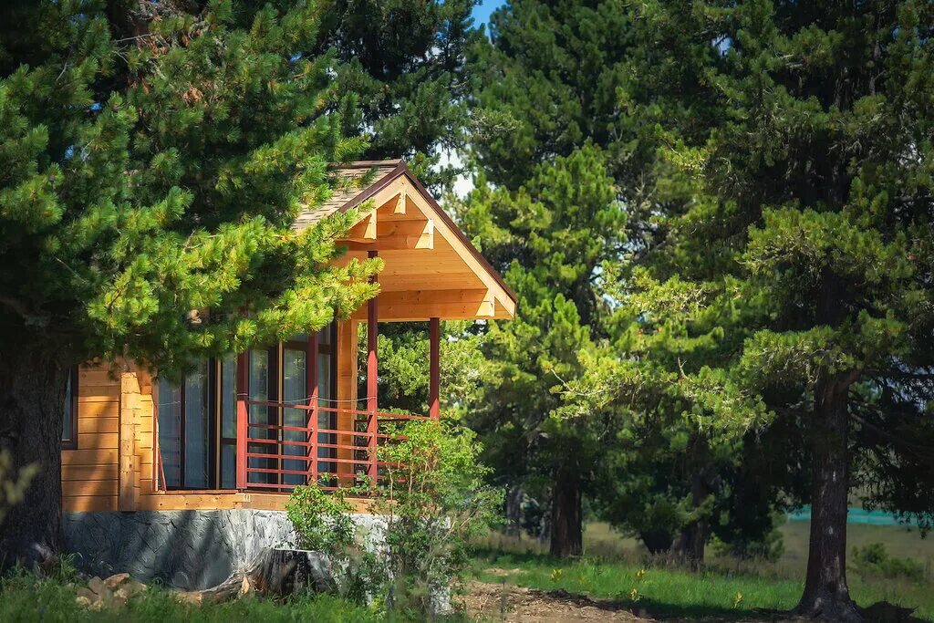 Турбаза динамо. Динамо база отдыха гостиница. Турбаза динамо семинский перевал горный. Динамо рыболовно-охотничья база астраханская область. Семинский перевал база динамо.