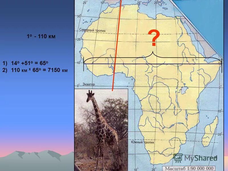 экватор пересекает африку. экватор пересекает африку почти посередине. египет материк. характеристика географического положения африки. африка экватор пересекает материк.