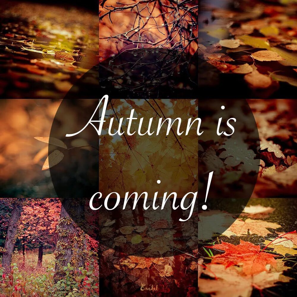 In autumn it is often. Autumn coming. Autumn is coming. Сентябрь is coming. Autumn is coming картинки.