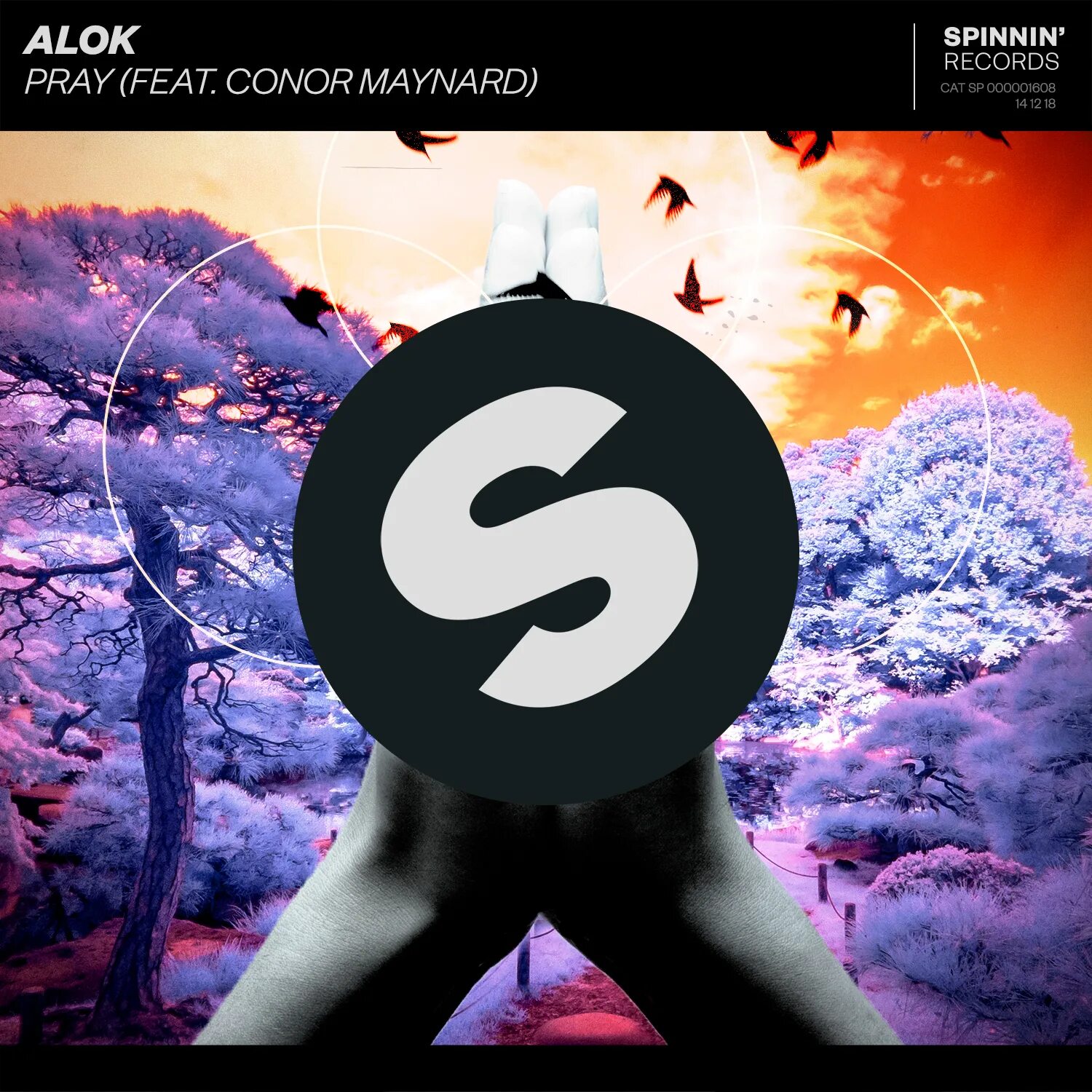 Spinnin records Alok. Spinnin records обложки. Spinnin records 2022. Альбом Spinnin records. All by myself alok