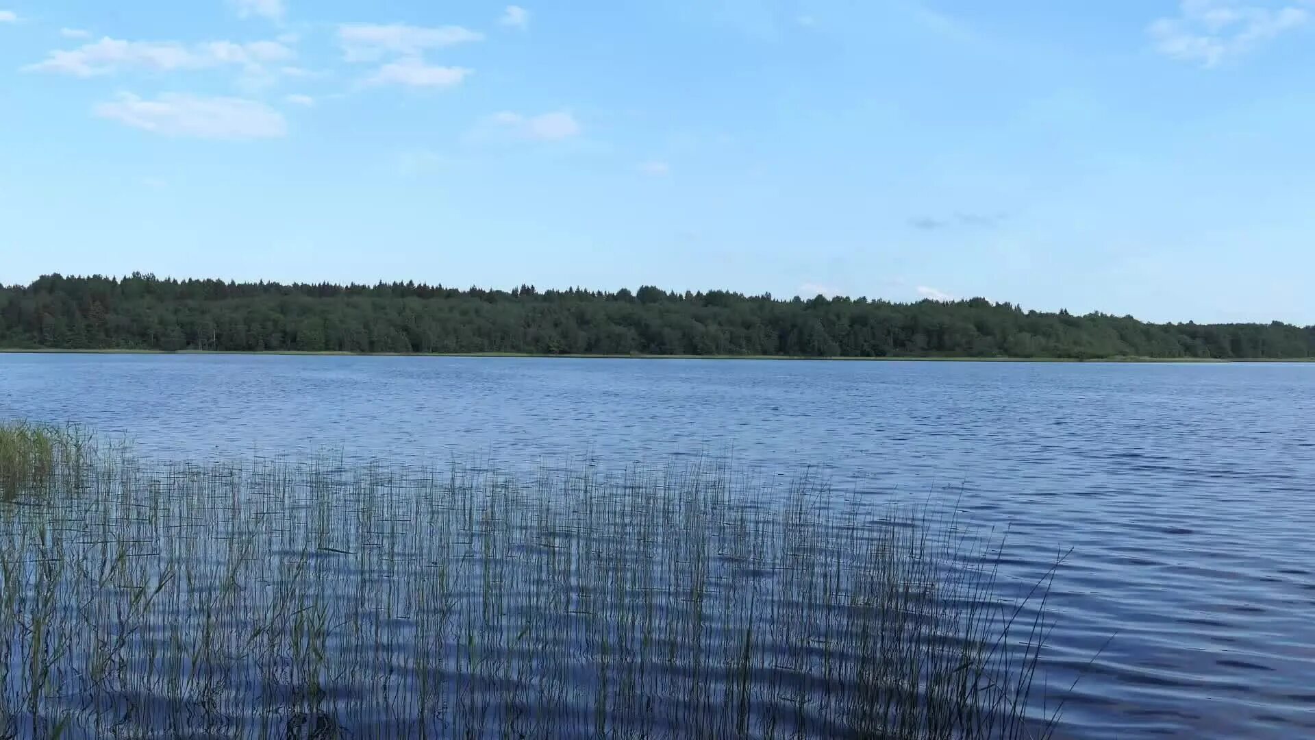 Озеро звоны. Озеро шум Курган. Озеро шум Пензенской области.