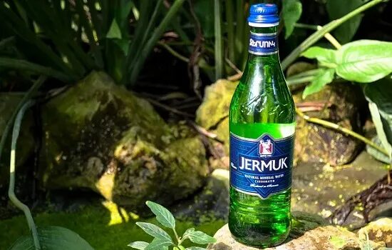Минеральная вода Армения Jermuk. Армянская минеральная вода Джермук. Вода Джермук 0.5. Газированная вода Джермук. Минералка джермук