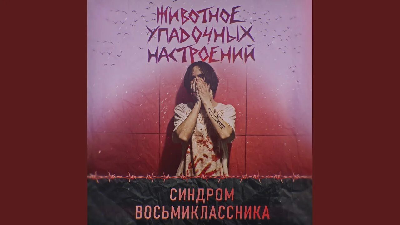 Синдром восьмиклассника дробовик текст. Животное упадочных настроений. синдром восьмиклассника животное упадочных настроений. синедром восьмикласник. синдром восьмиклассника постер.