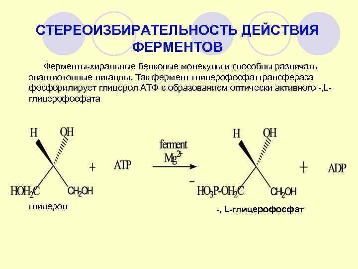 Хиральный центр это. Энантиотопные лиганды это. хиральные. хиральные органические молекулы. хиральные центры.