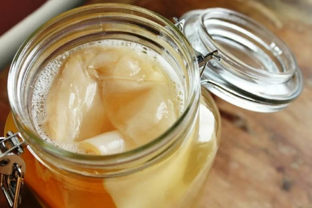 Можно ли чайный гриб при диабете. Kombucha чайный гриб. комбуча гриб. живой чайный гриб комбуча. чайный гриб или комбуча.