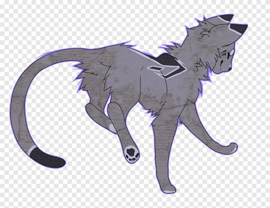 Коты воители серокрыл. Коты воители алоцветик. Коты воители хмуролика. Коты воители меднохвостка. Референс коты воители анатомия.