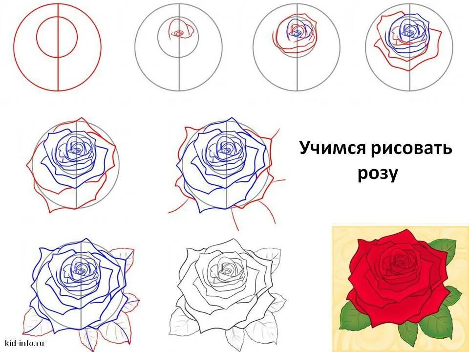 Что нарисовать быстро и красиво. Как нарисовать розу. Как нарисовать розу поэтапно. Как нарисовать розу карандашом поэтапно для начинающих.