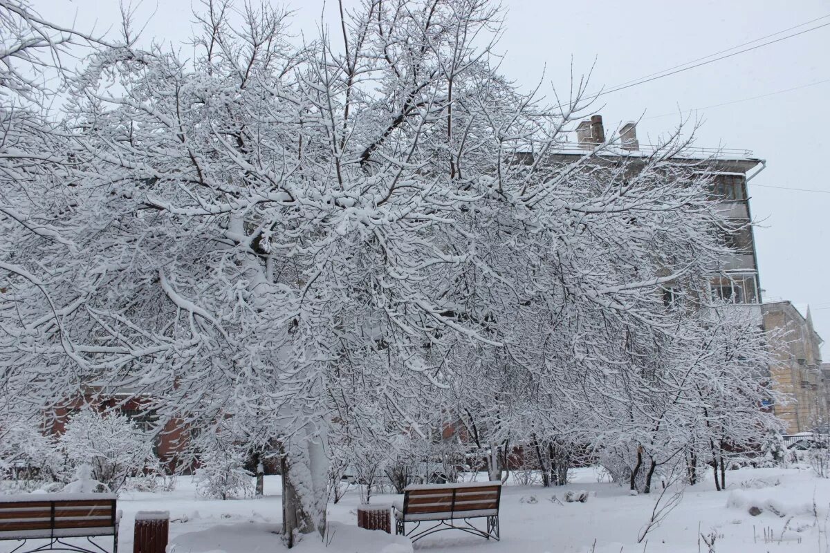 Набережная новосибирск зима. Новосибирск погода зимой. Новосибирск в феврале. Сибиряк в снегу. Новосибирск в феврале.