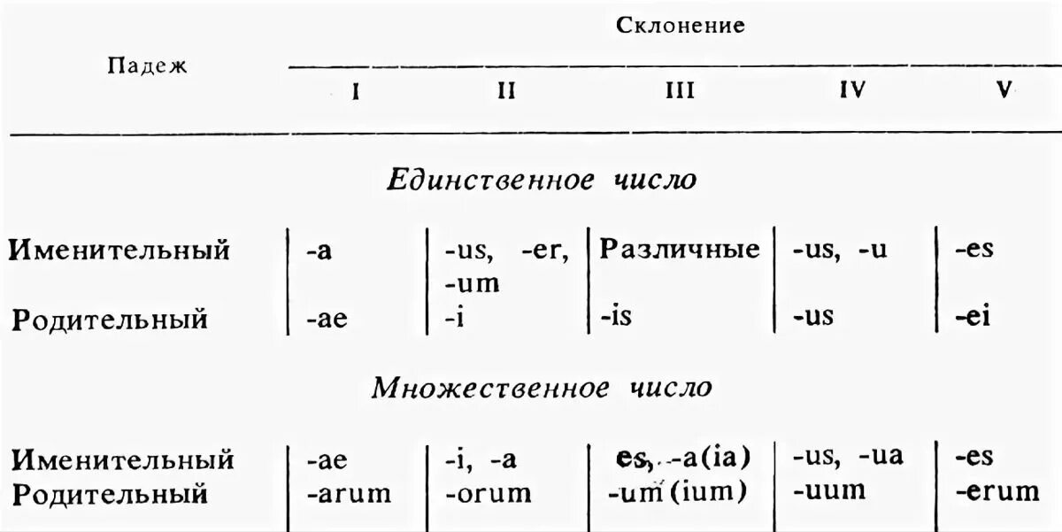 Образуйте форму третьего лица множественного числа: найдено 86 картинок