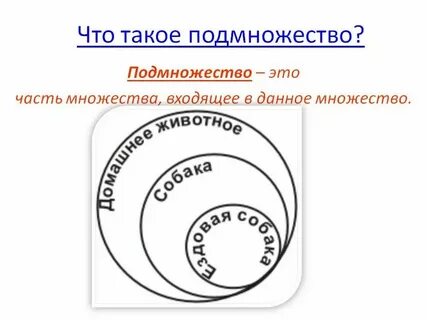 Сколько направлений в математике