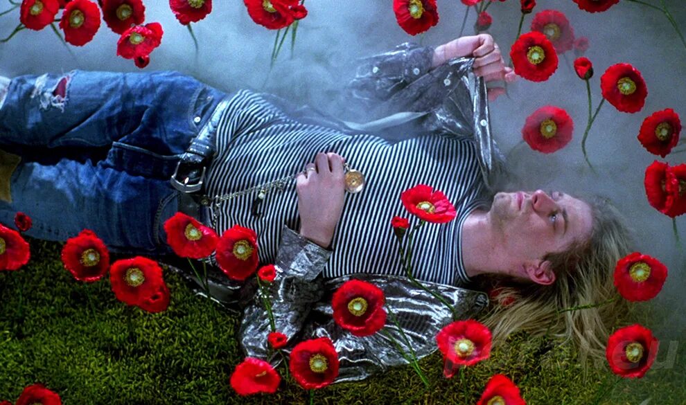 Песня за твои умирать. Курт Кобейн Heart-Shaped Box. Курт Кобейн маки. Курт Кобейн лежит в цветах. Курт Кобейн фото.