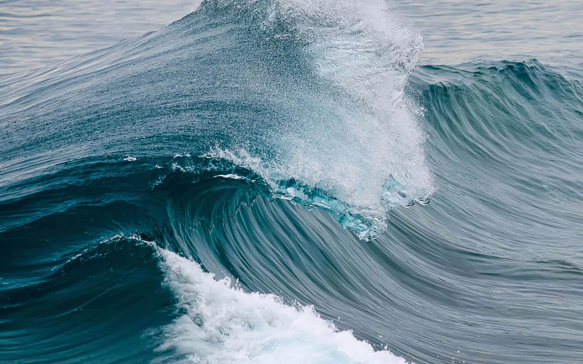 Wave wave на пк