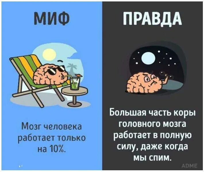 Миф правда. Миф хотеть. Миф хотеть. Царь эдип и иокаста. Миф хотеть.