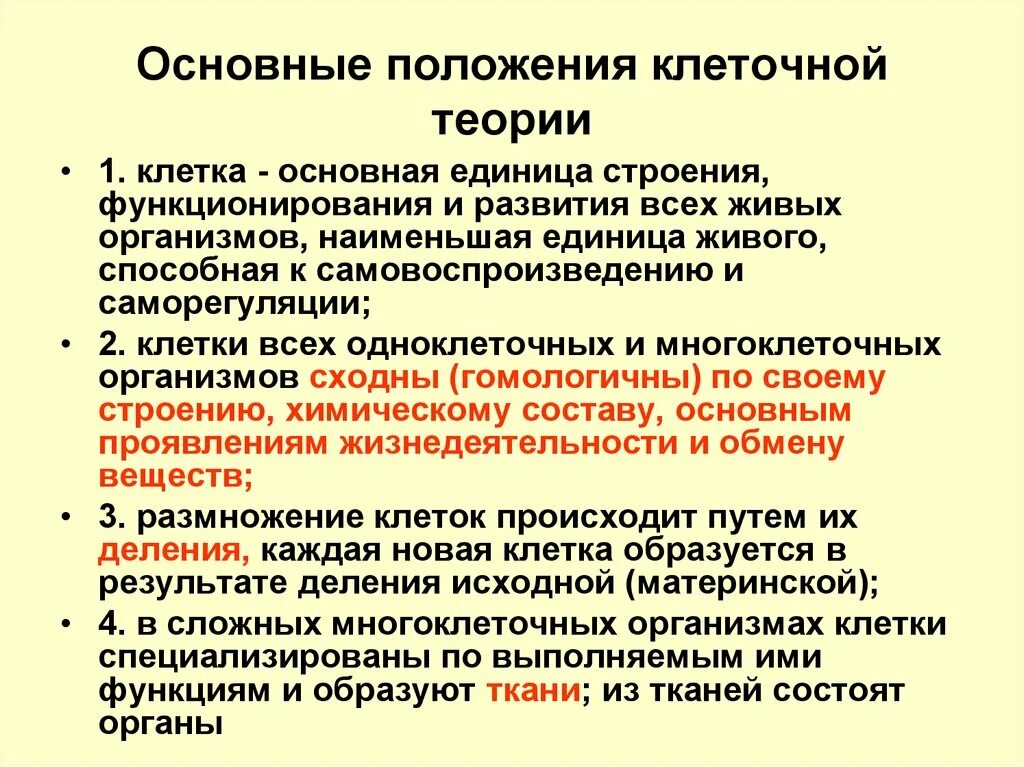 Основные клеточные