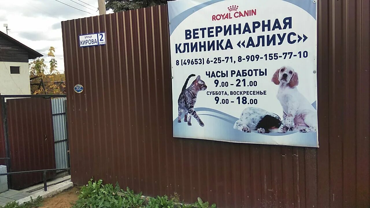 ветклиника друг владивосток. биосфера киров. ул кирова ветклиника. кирова 19а хабаровск. ул кирова ветклиника.