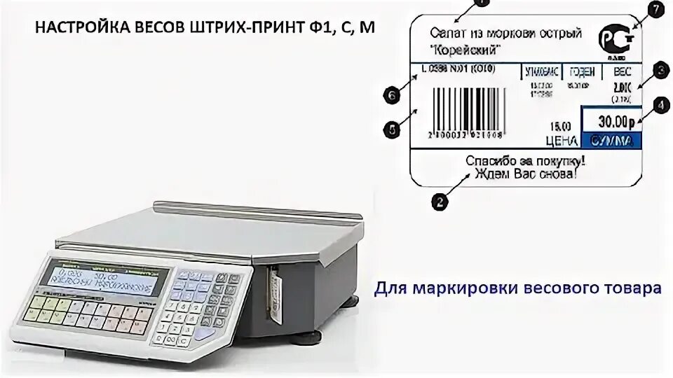Калибровка весов cas c200. Весы регулировка. 05. Строение электронных весов. Весы регулировка.