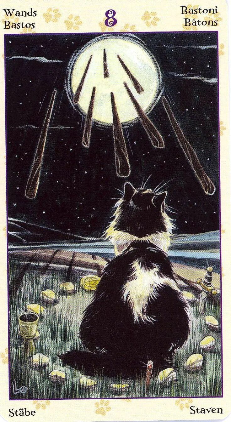 Карты таро кошки значение. Pagan cats tarot галерея. таро пэган кэтс. карты таро pagan cats. tarot of pagan cats.